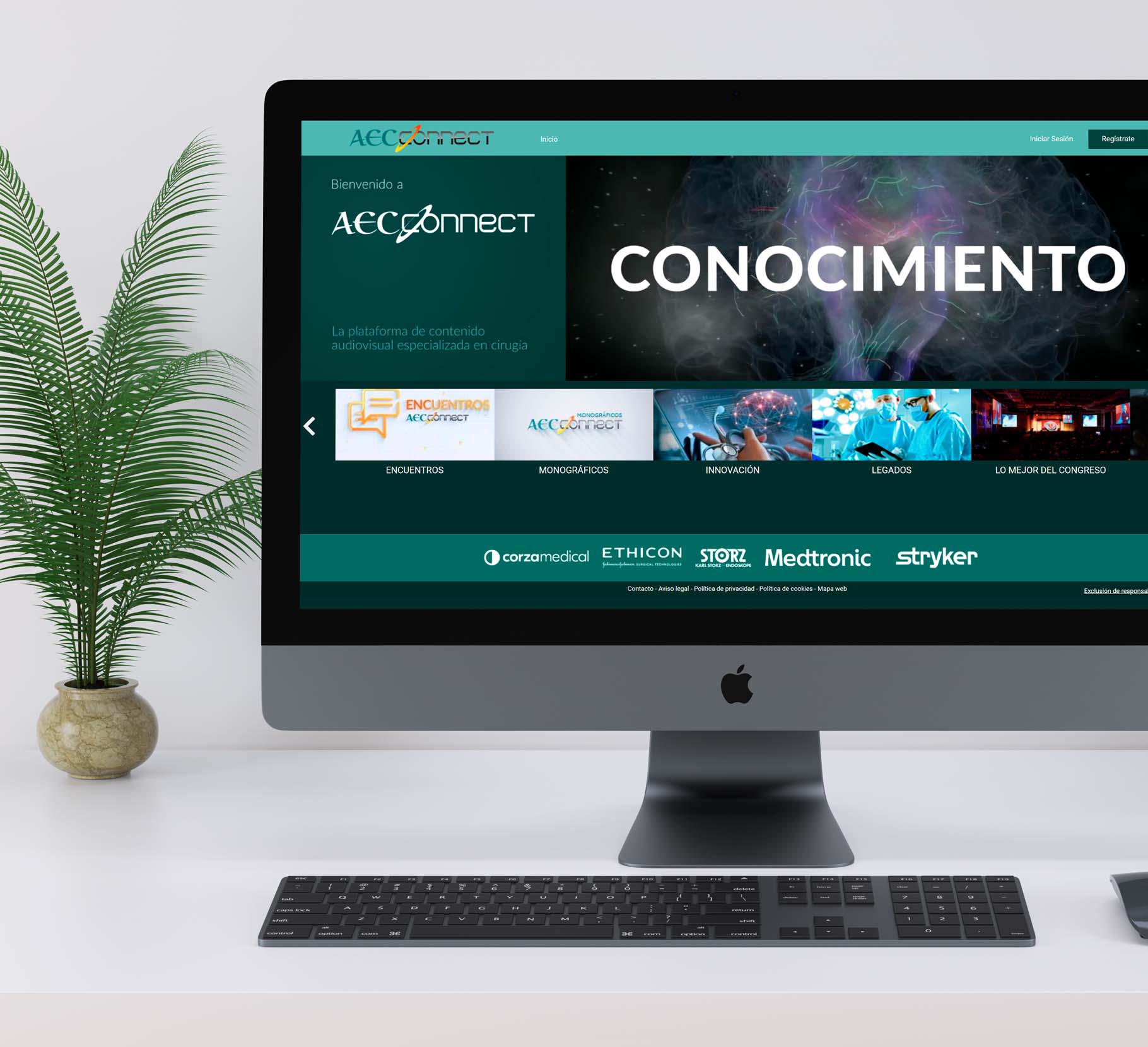 Asociación Española de Cirujanos (AEC) – AEC CONNECT